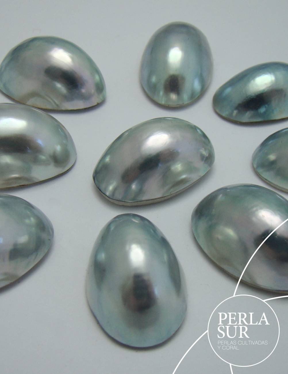 Perla Nautilus Filipina