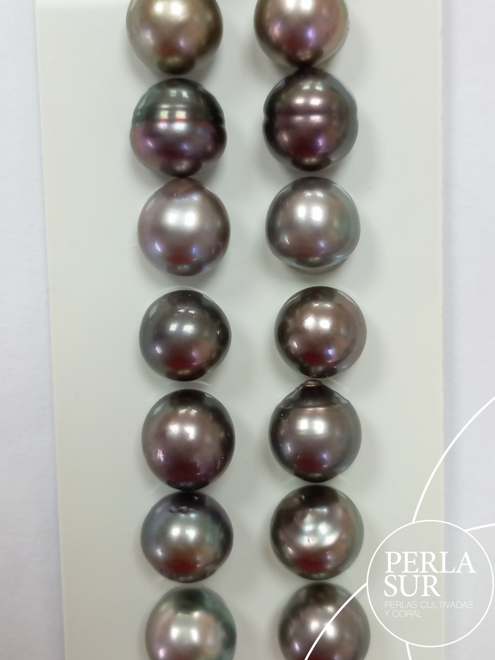 Par Perla Tahití 10-10'5mm semibarroca