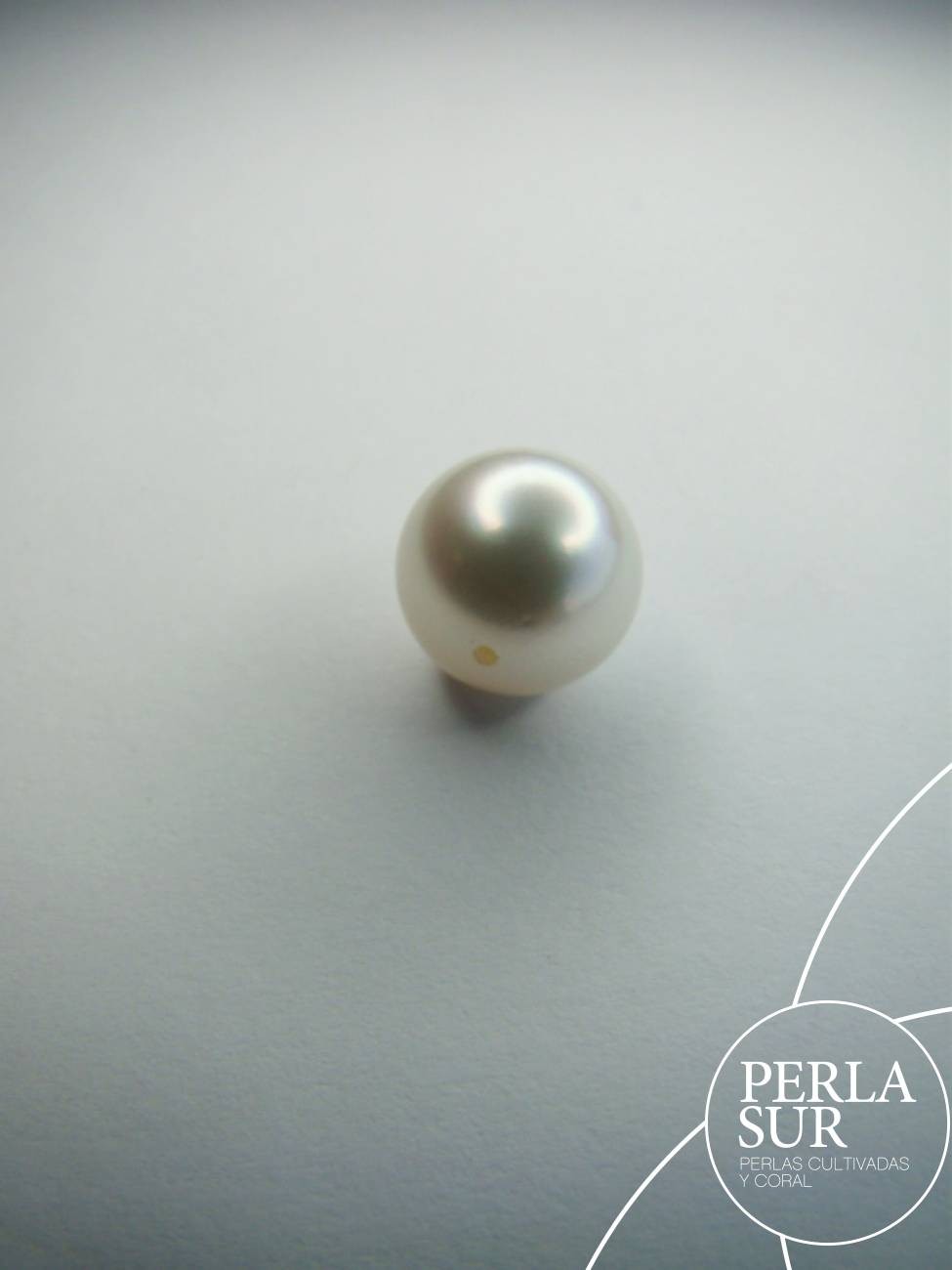 Perla Australiana Pasada suelta 10mm Redonda