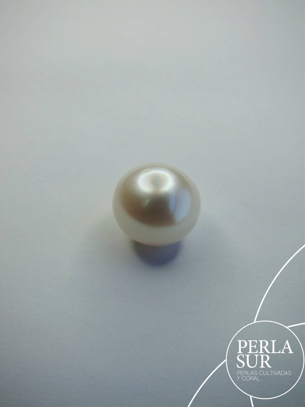 Perla Australiana suelta 14mm Botón