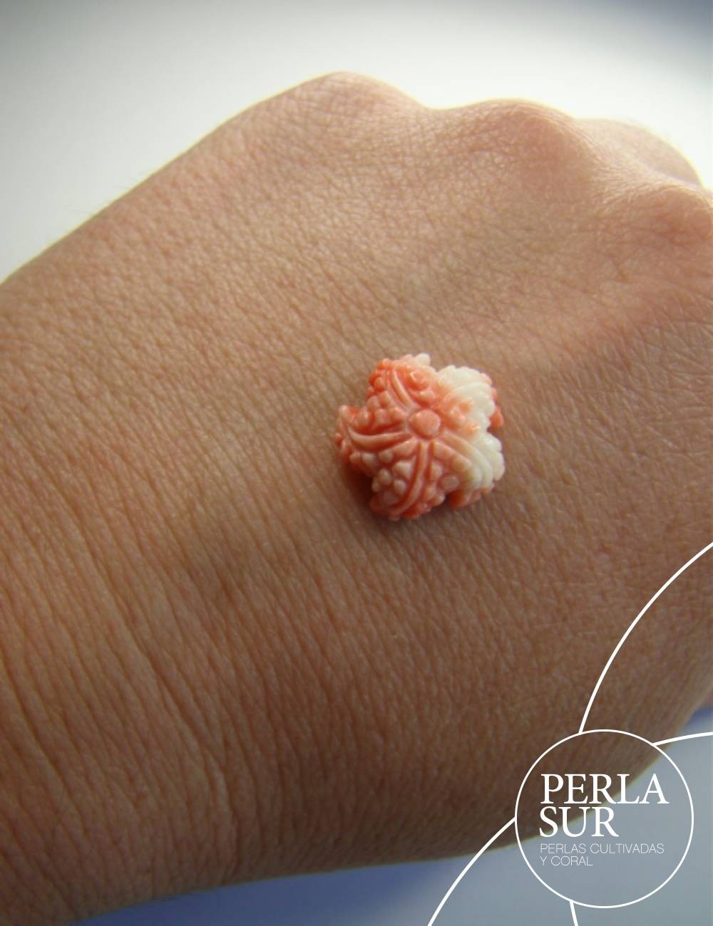 Estrella de mar Coral Japonés