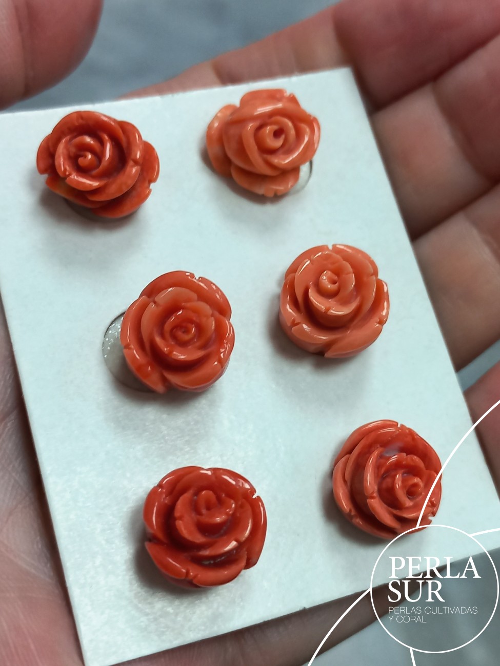 Pareja Rosa 13-14mm 1/2 T. Coral Japonés