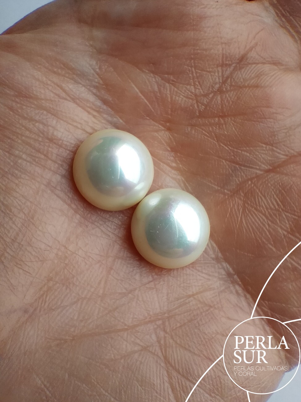 Mabe shell 12mm blanca