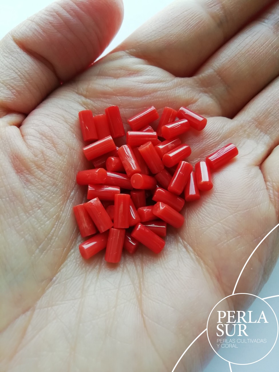 Tubo 3x6mm Sin Taladro Coral Mediterráneo