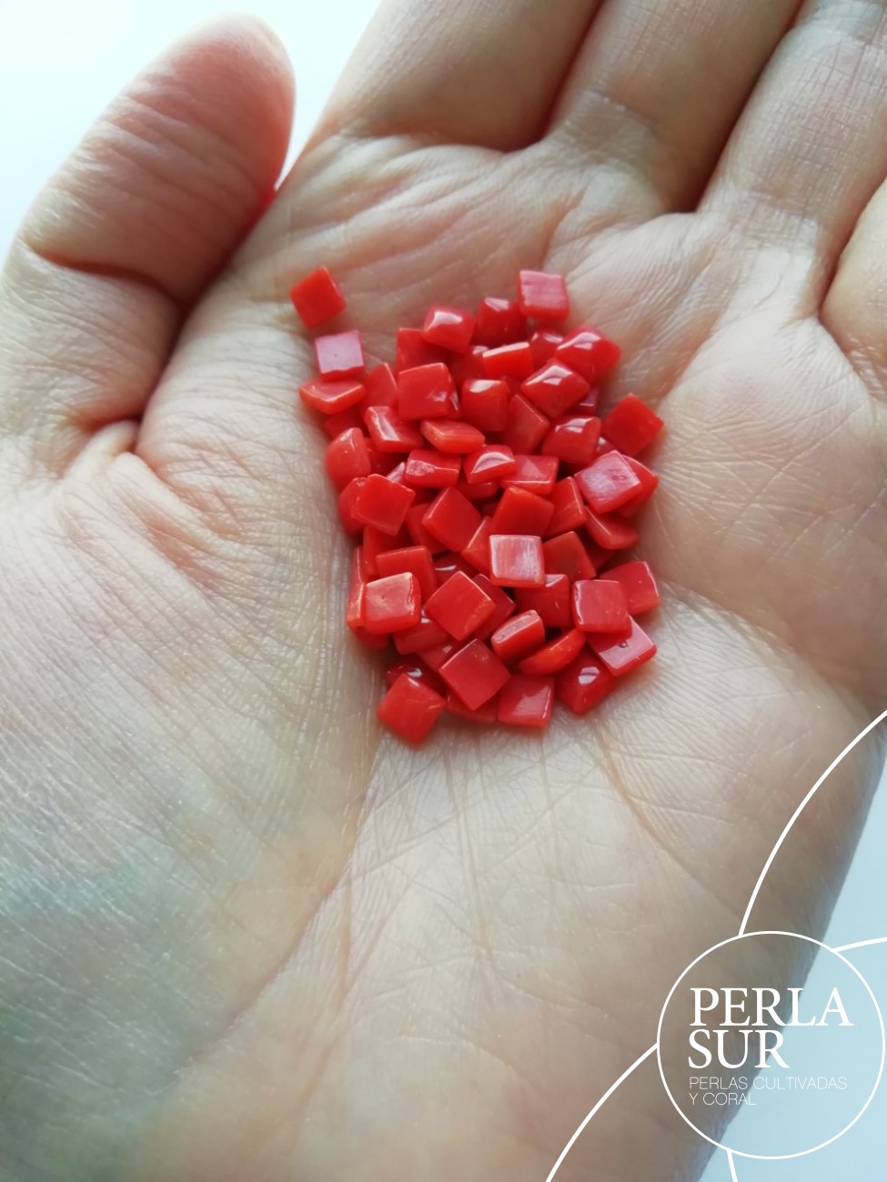 Cabujón square 4mm coral mediterráneo