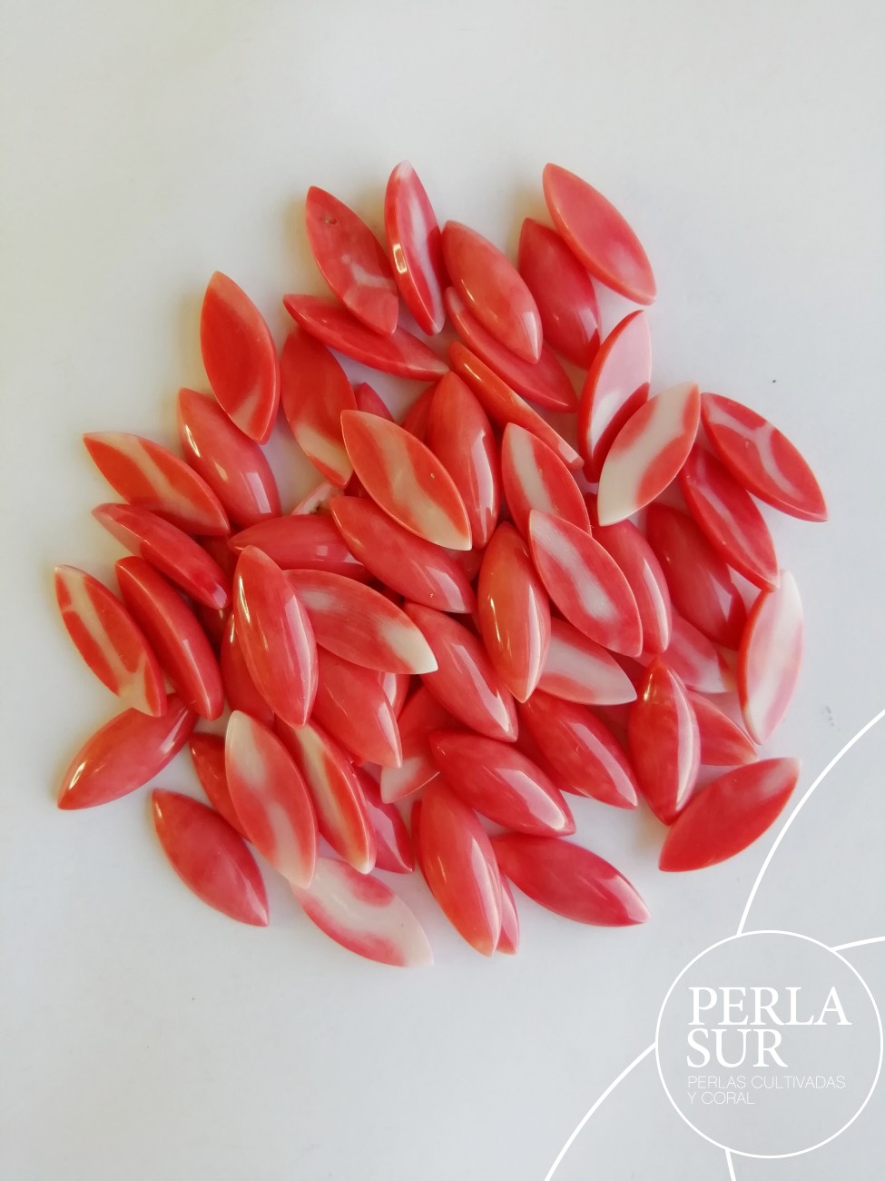 Cabujón 7x18mm Marquise Coral japonés