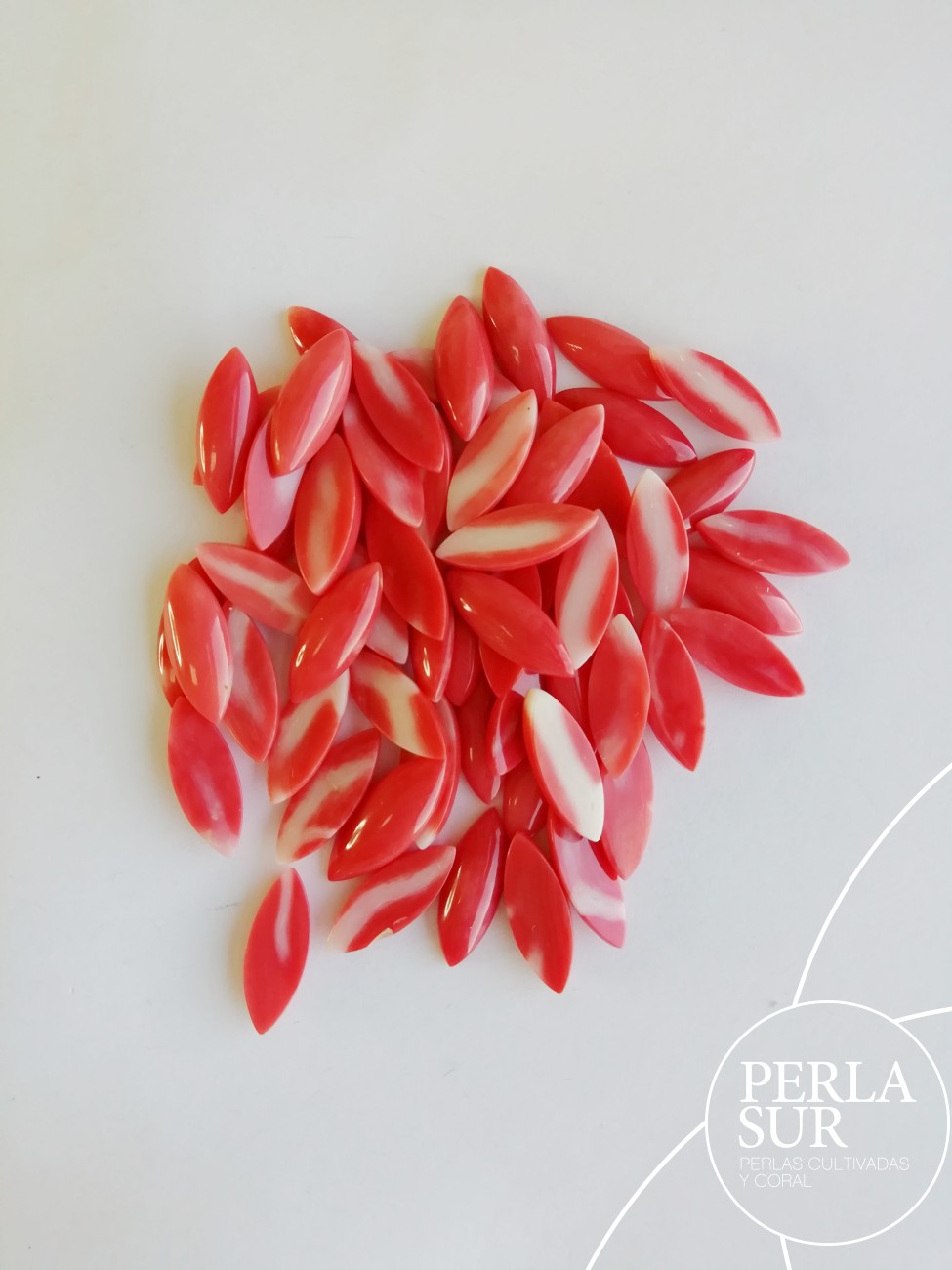 Cabujón 6x16mm Marquise Coral japonés