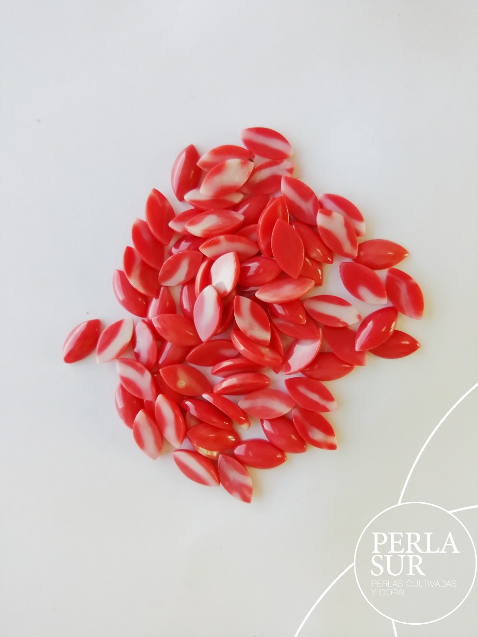 Cabujón 6x12mm Marquise Coral japonés