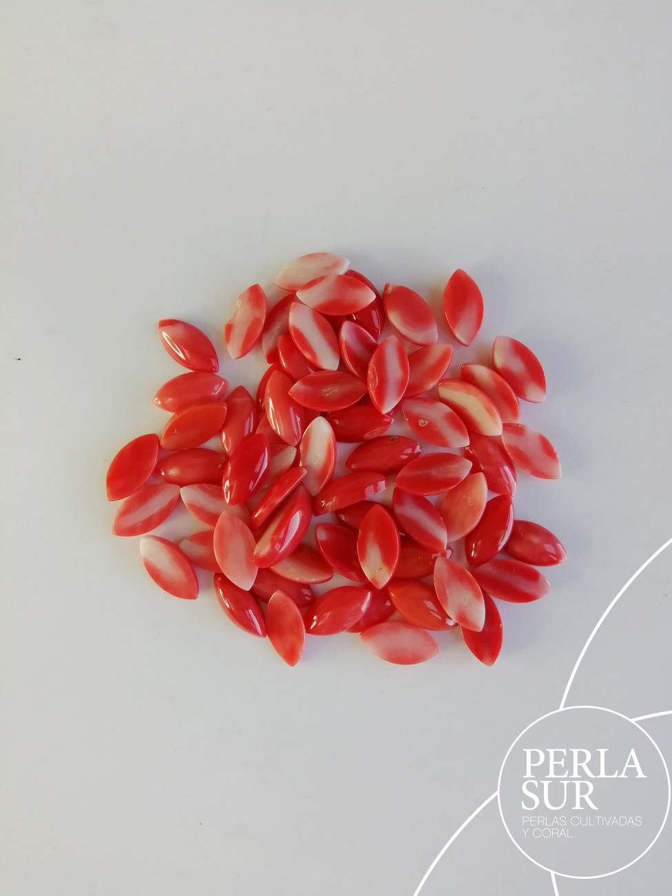 Cabujón 5x10mm Marquise Coral japonés