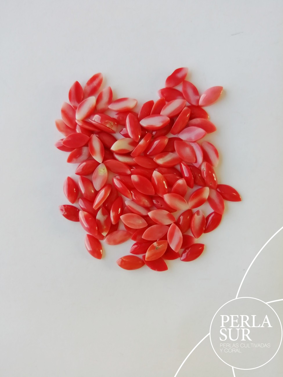 Cabujón 4x8mm Marquise Coral japonés