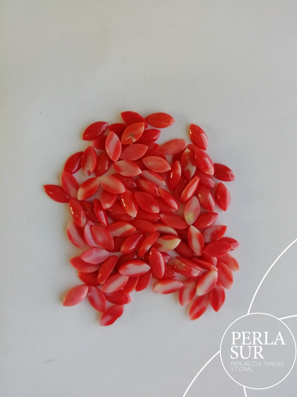 Cabujón 3x6mm Marquise Coral japonés