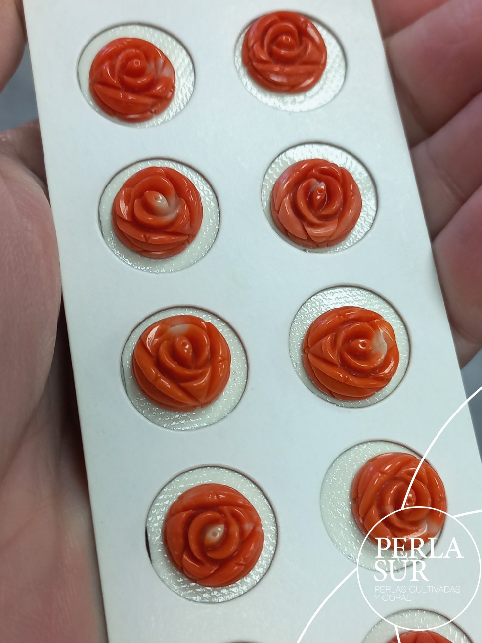 Pareja Rosa 12-13mm Plana Redonda Coral Japonés