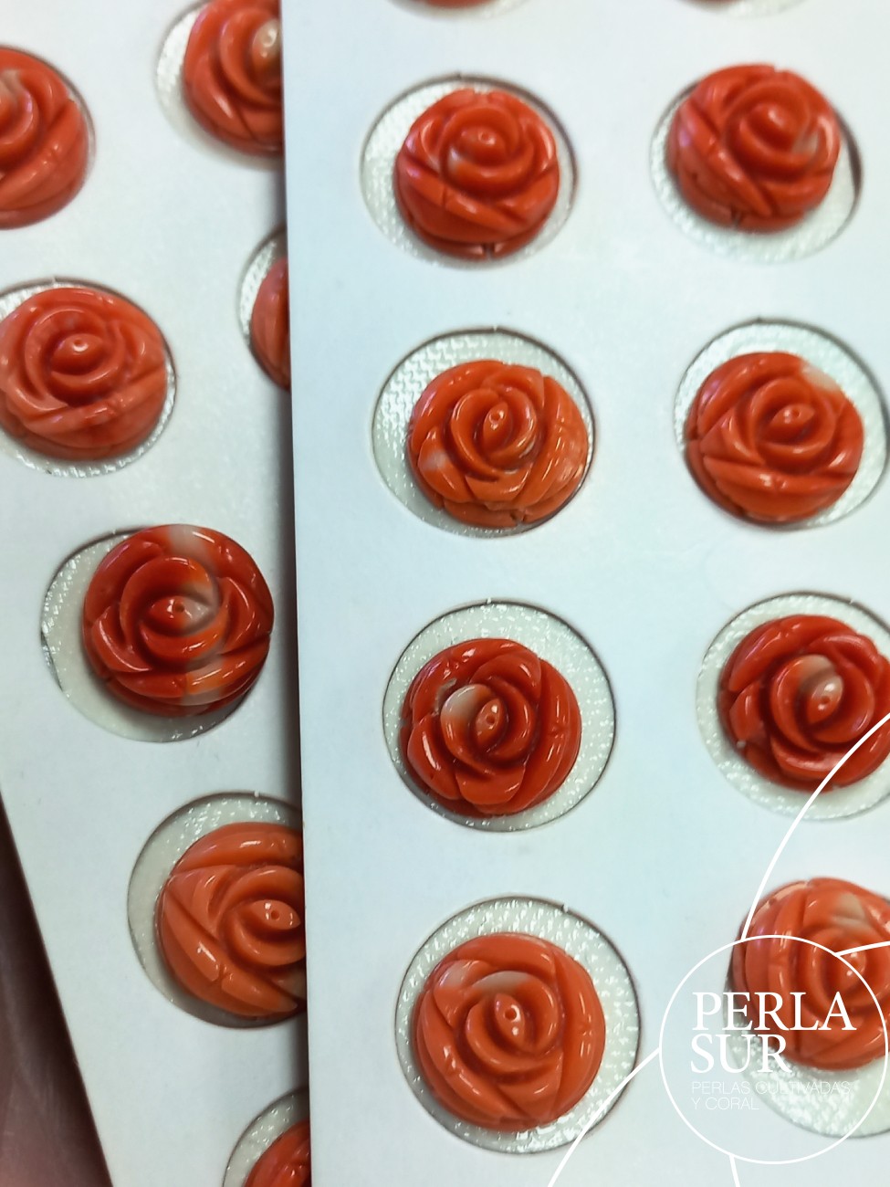 Pareja Rosa 14-14'5mm Plana Redonda Coral Japonés