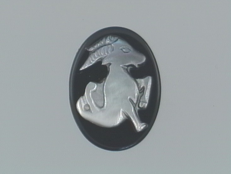 Capricornio 15x20mm Ónix-Madreperla Australiana