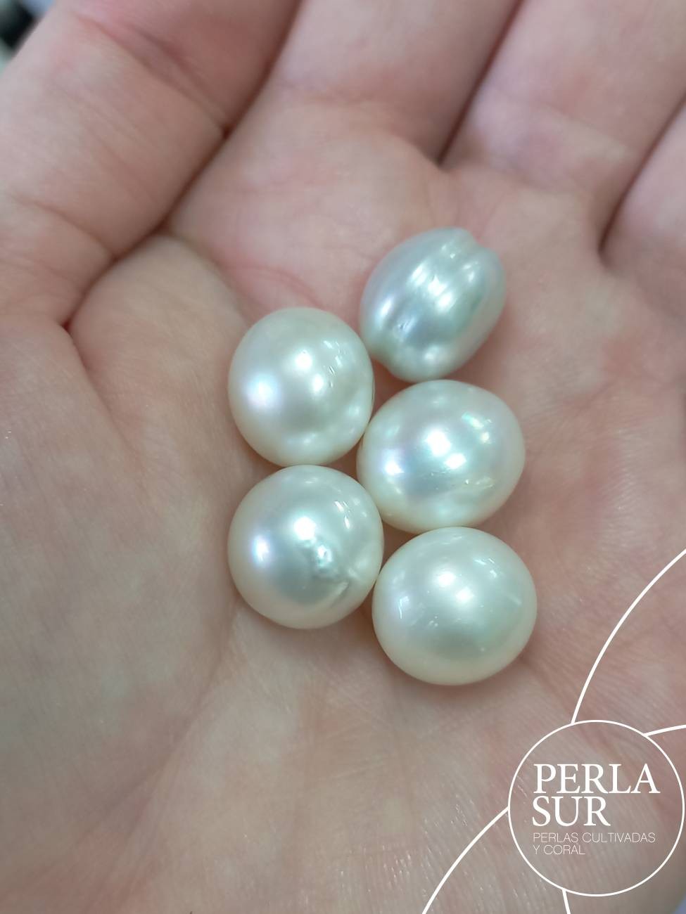 Perla Australiana Suelta 13-14mm Botón