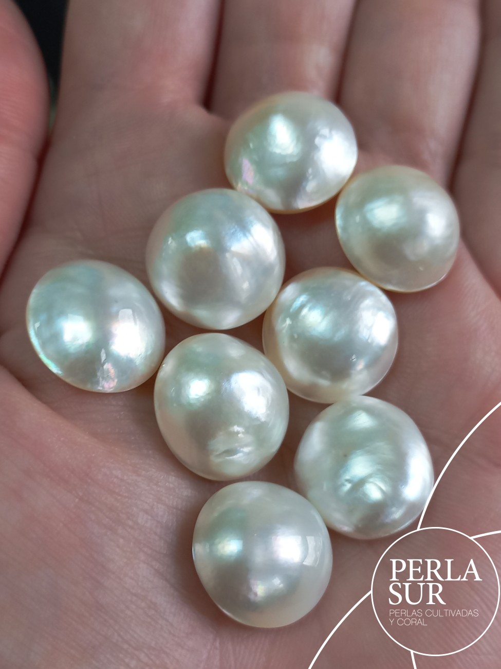Perla mabe 15'5-16mm "irregulares"