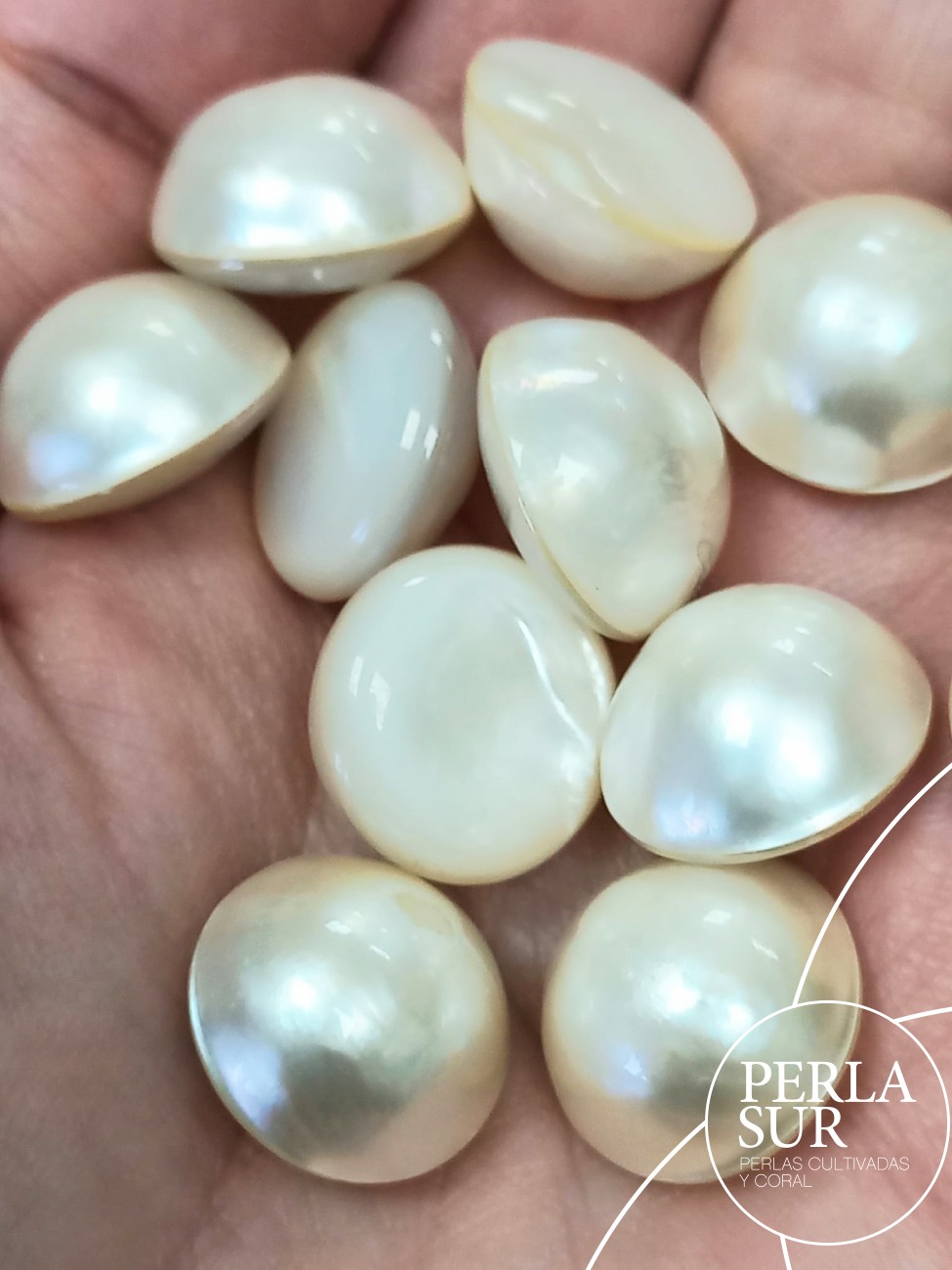 Perla mabe 15'5-16mm Clásicas Sueltas