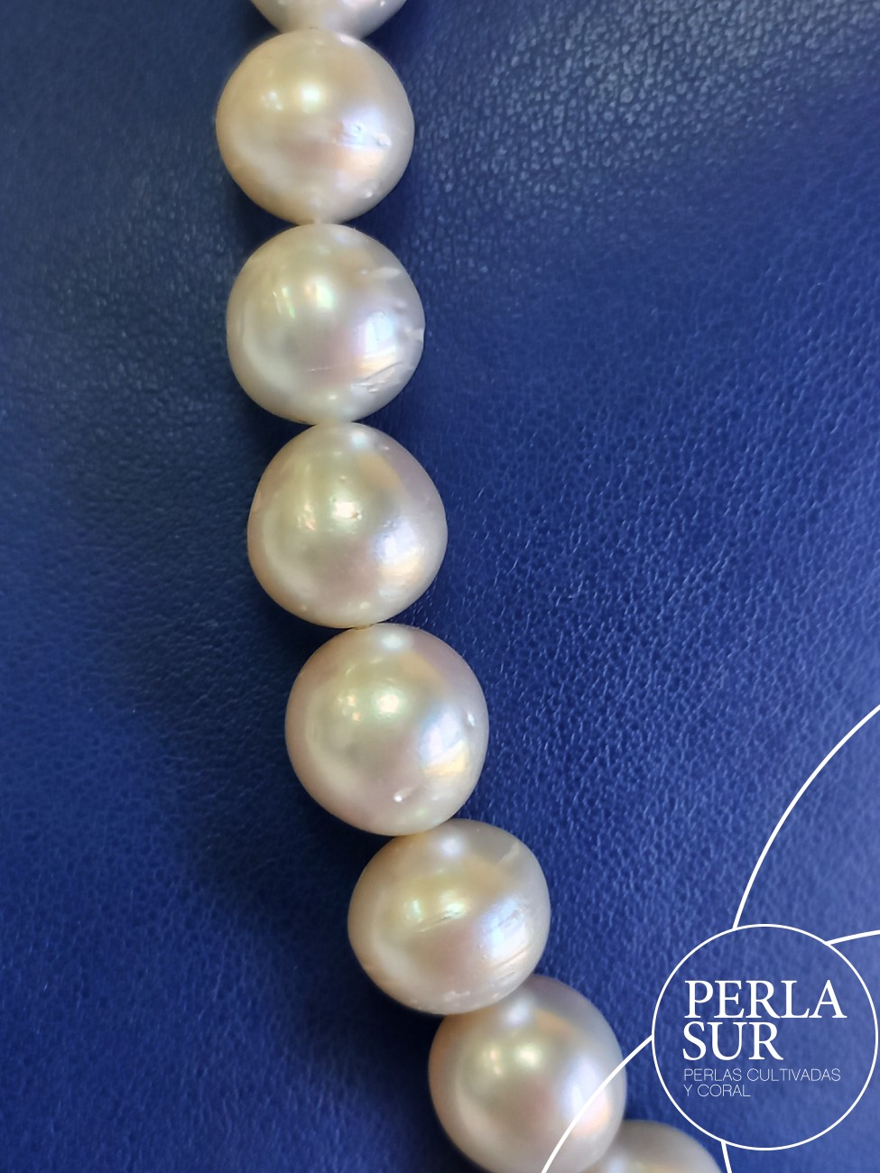 Collar perla australiana SR 10 a 11mm 40p 41'5cm