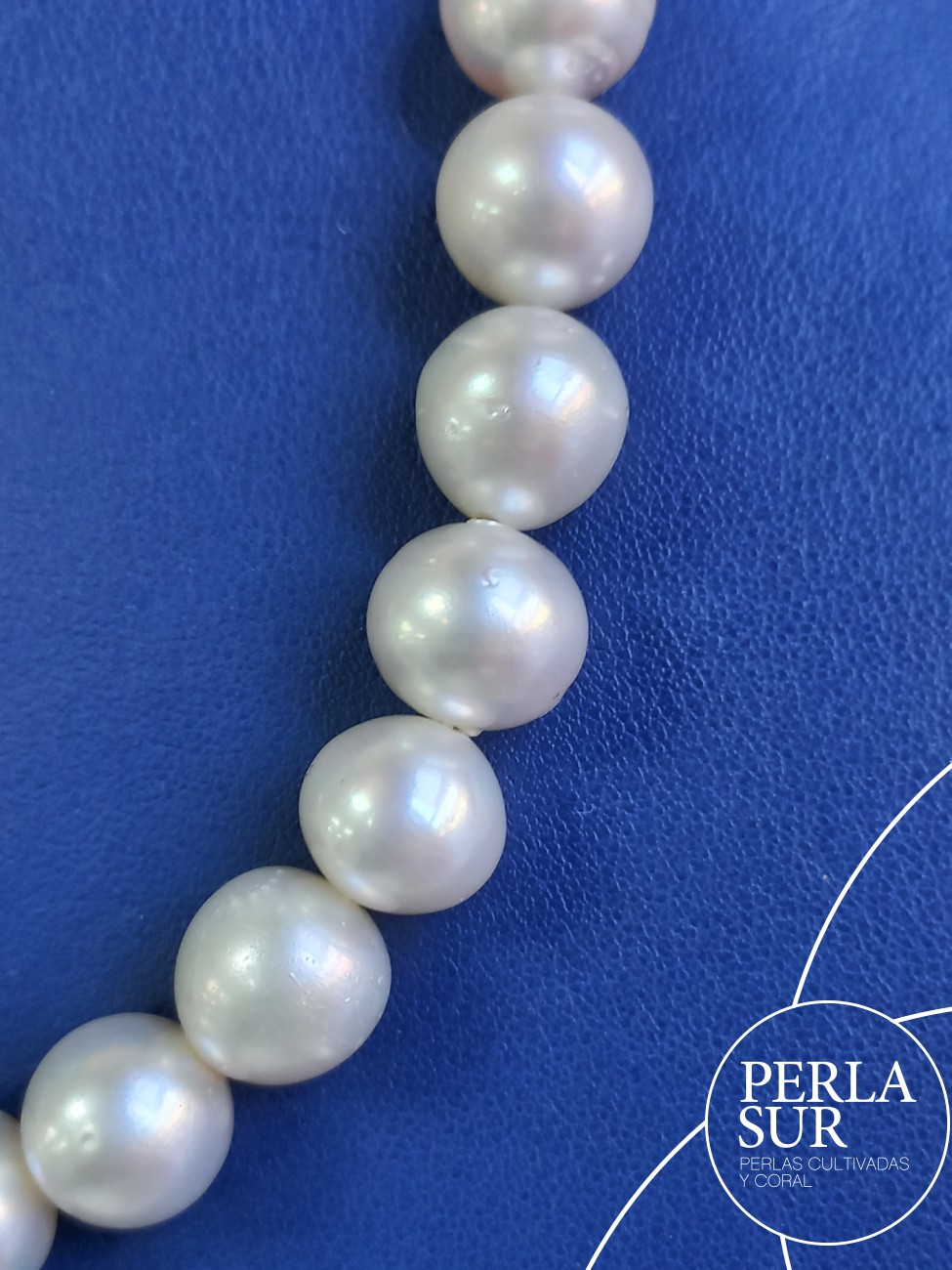 Collar perla australiana SR 10 a 11mm 40p 41'5cm
