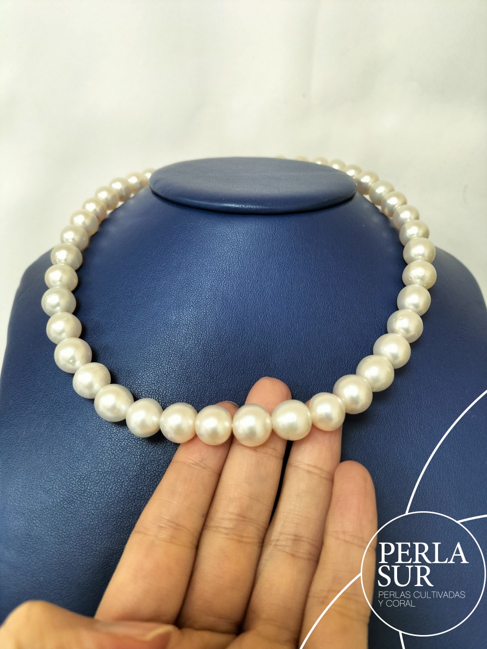Collar perla australiana SR 10 a 11mm 40p 41'5cm