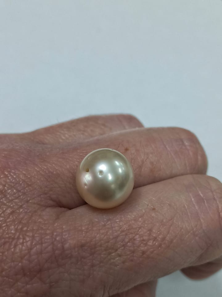 Perla Aust. Golden 13mm pasada redonda