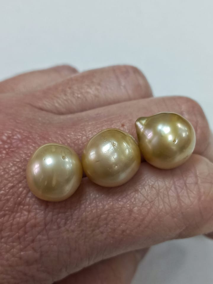 Perla Aust. Golden 13-13'5mm pasada