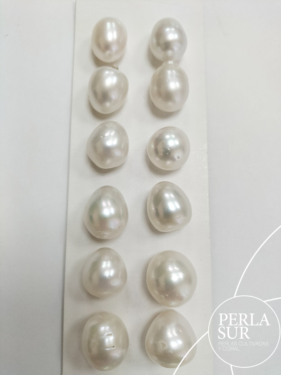 Perla Aus. Barr. colgante XXL (14x18)