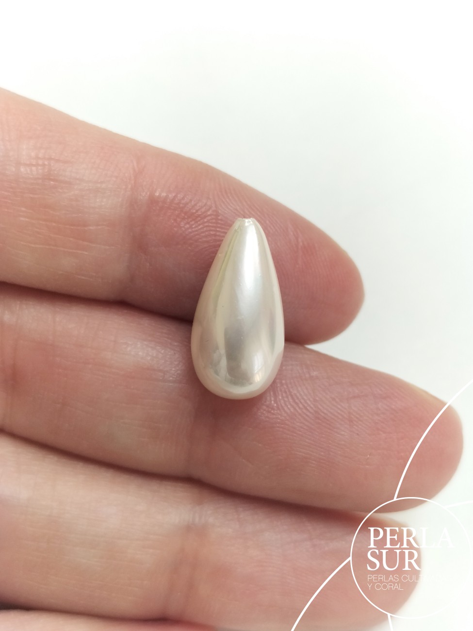 Perilla shell 1/2t 8x16mm Crema