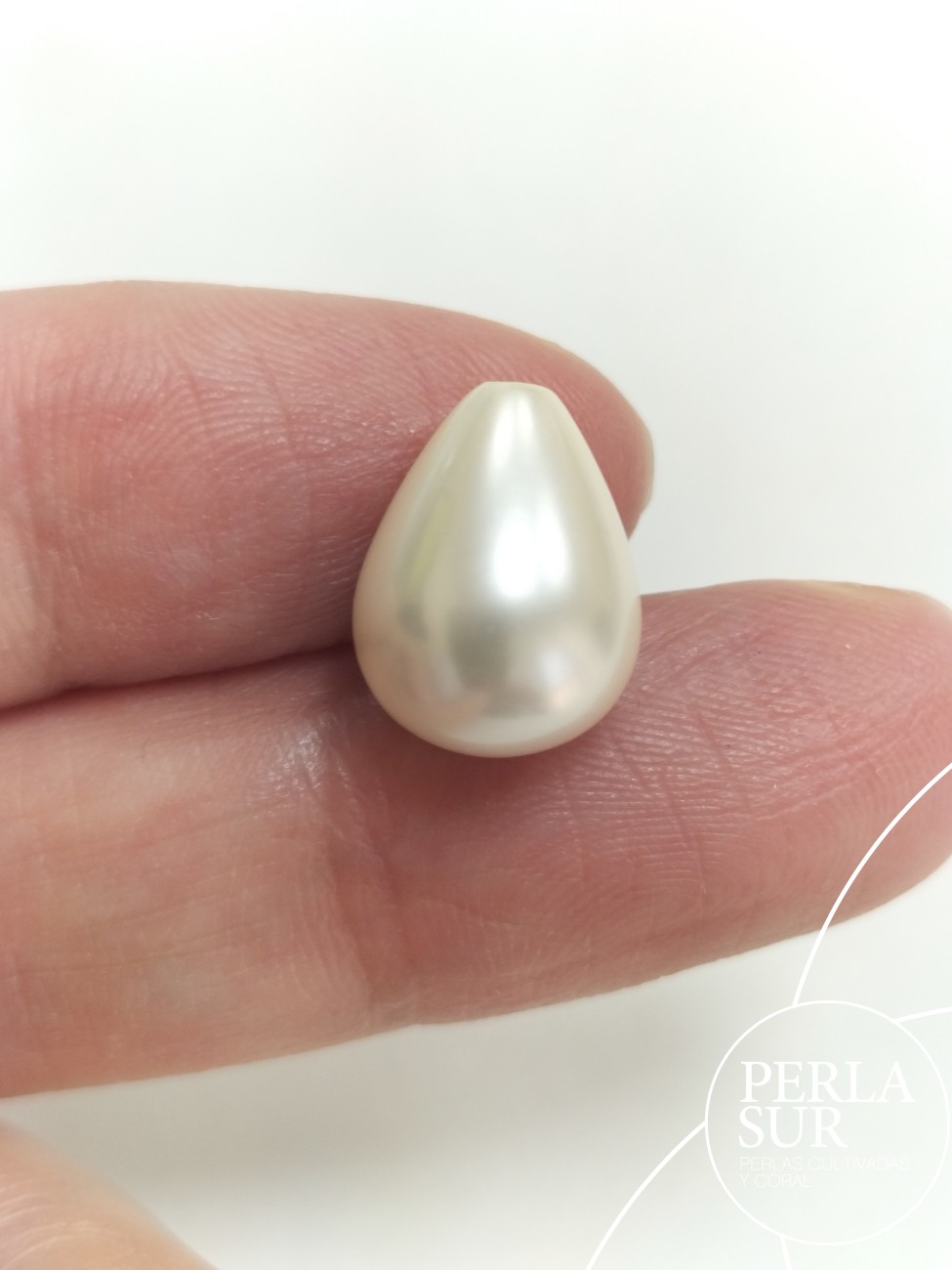 Perilla shell 1/2t 10x13mm