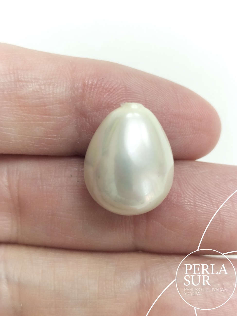 Perilla shell 1/2t 13x16mm