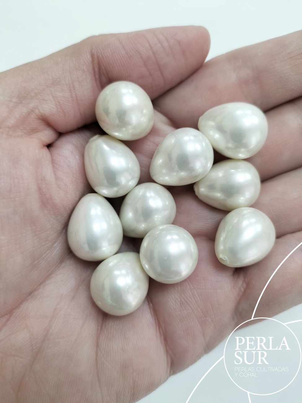 Perilla shell 1/2t 13x16mm