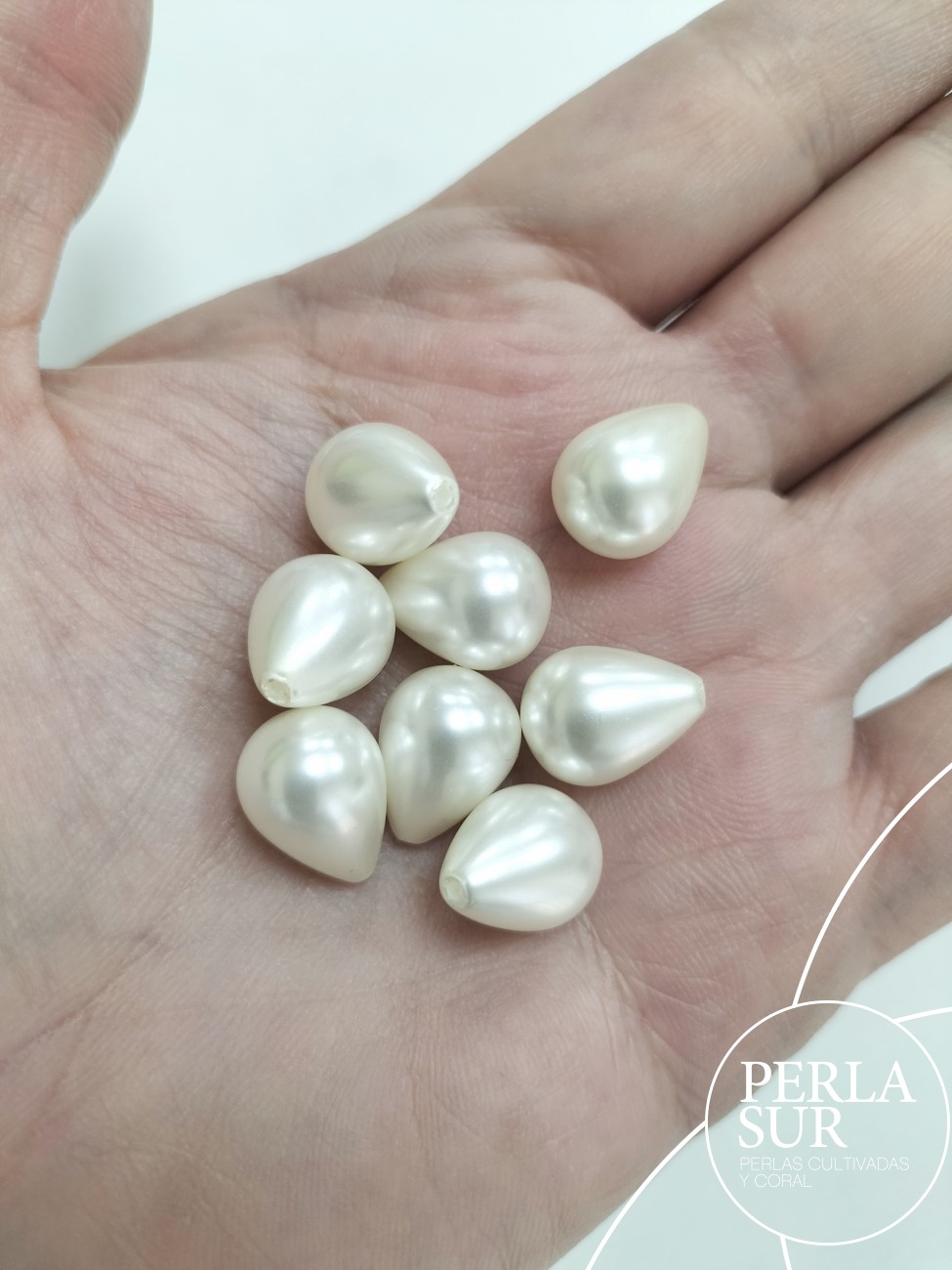 Perilla shell 1/2t 10x13mm