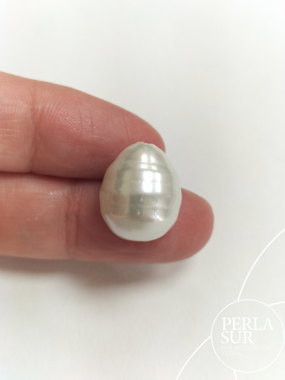 Pareja Perilla shell pasada 13x15mm barroca