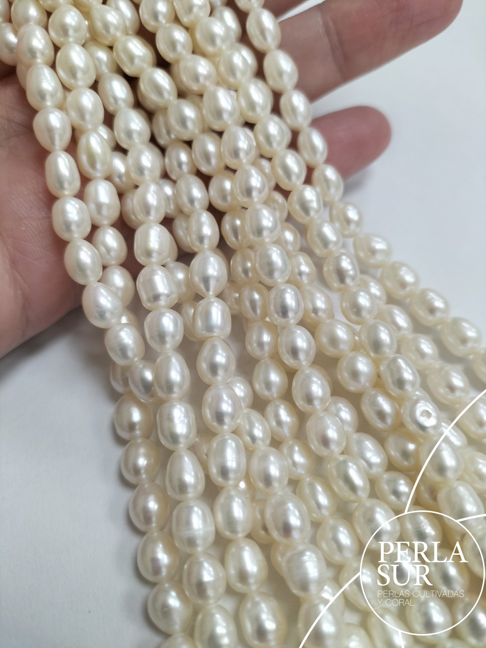 Hilo Perla Oval 5x7mm blanca 40cm