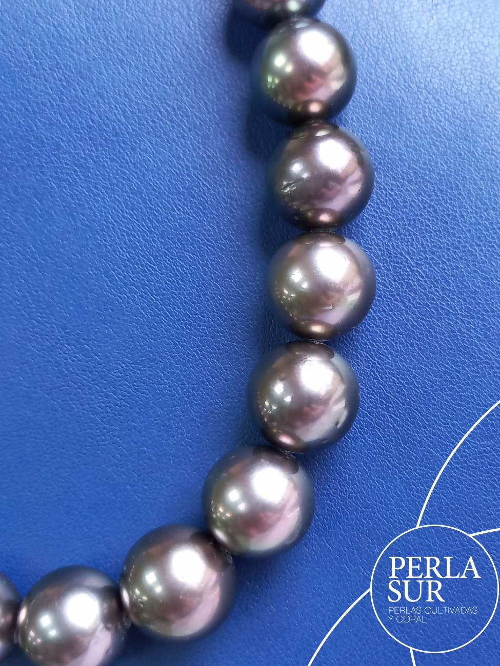 Collar Tahití R 11'1x14'8mm Berenjena