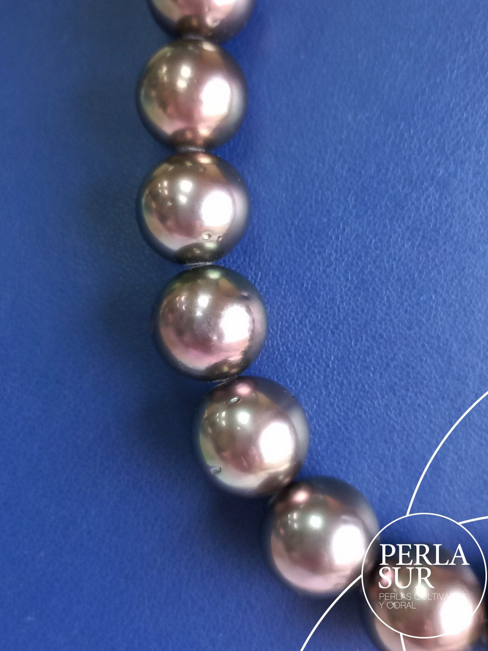 Collar Tahití R 11'1x14'8mm Berenjena