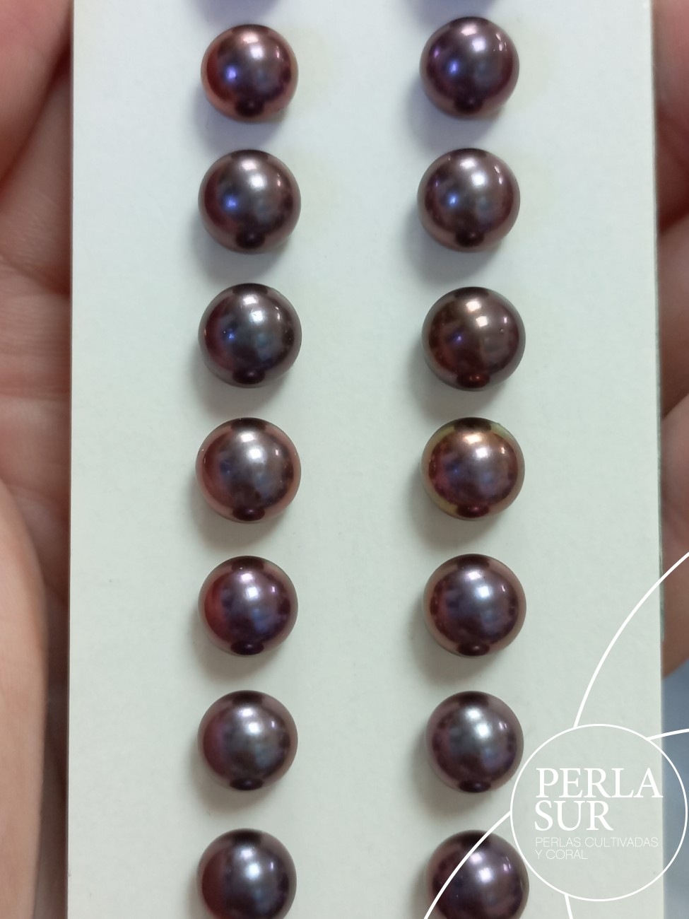 Pareja perla 1/2t 7-7'5mm berengena peacock
