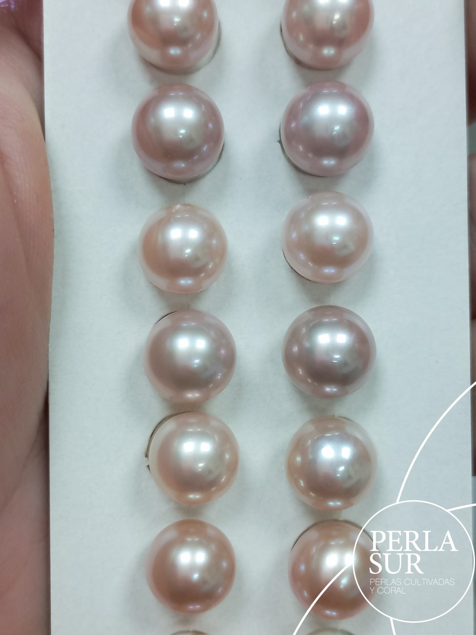 Pareja perla 1/2t 9-9'5mm Lila (CN)