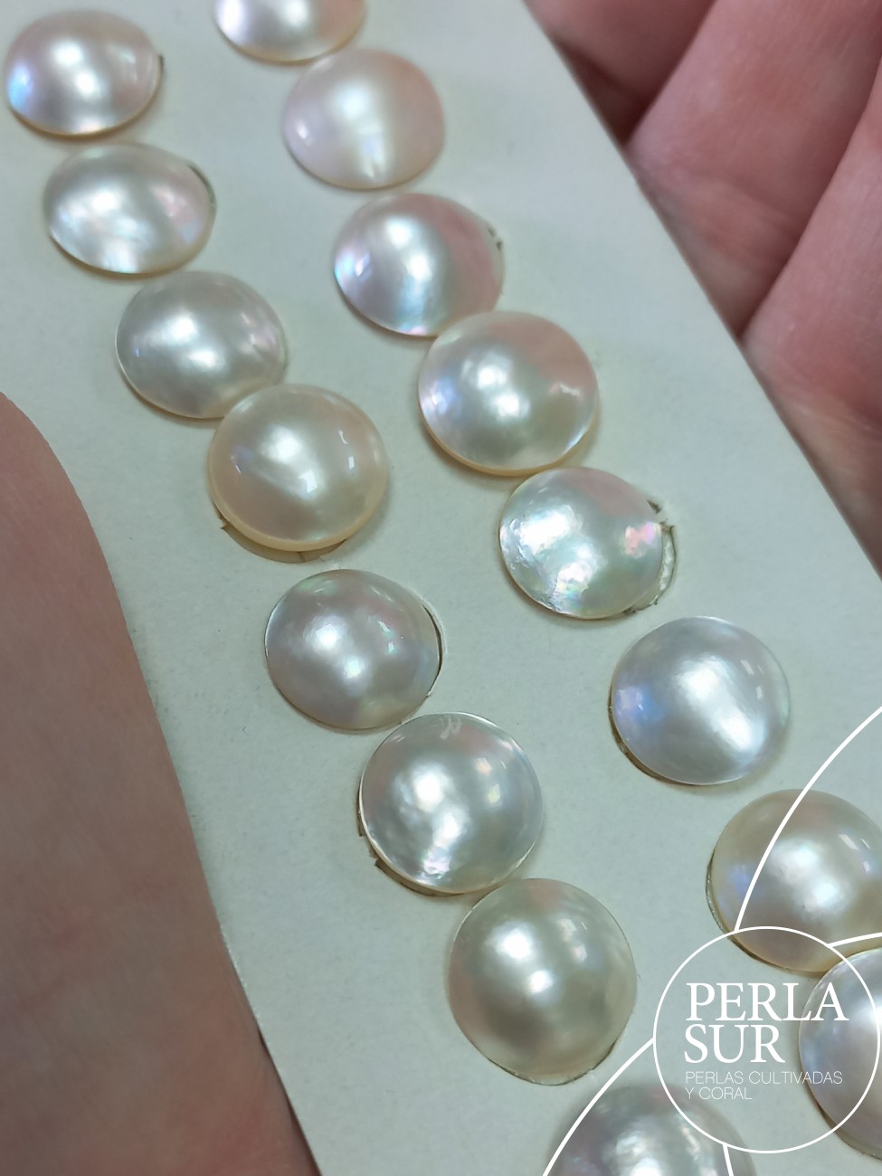 Perla Mabe 10-10'5mm Planas