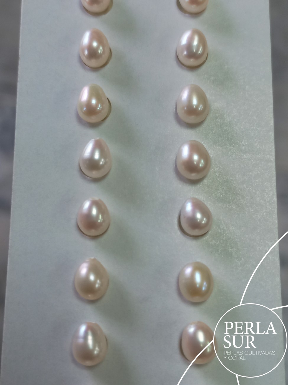 Pareja Perla Oval 5x6mm 1/2T. Blanca