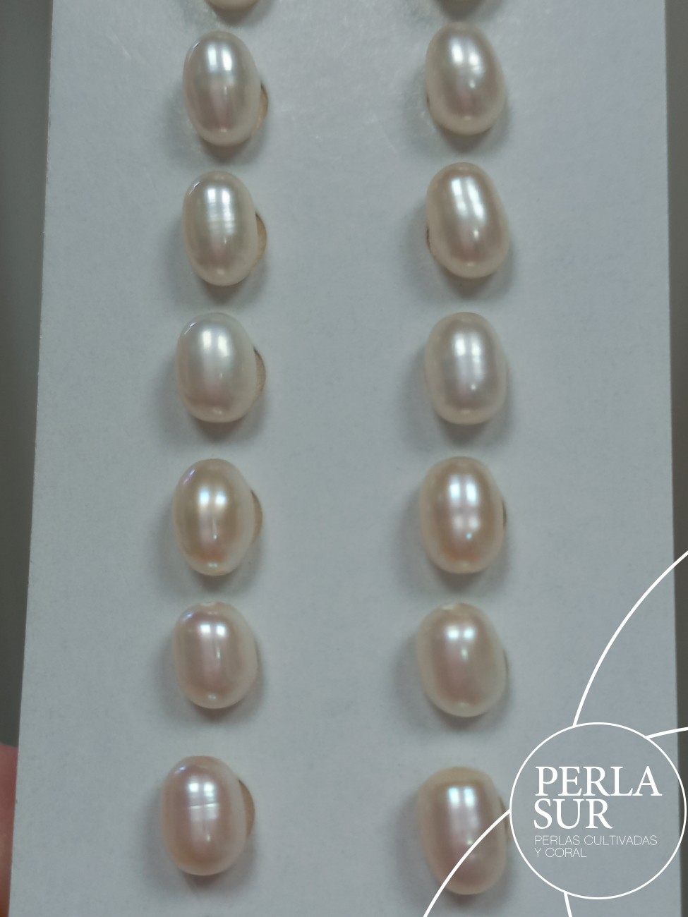 Pareja Perla Oval 5x7mm 1/2T. Blanca