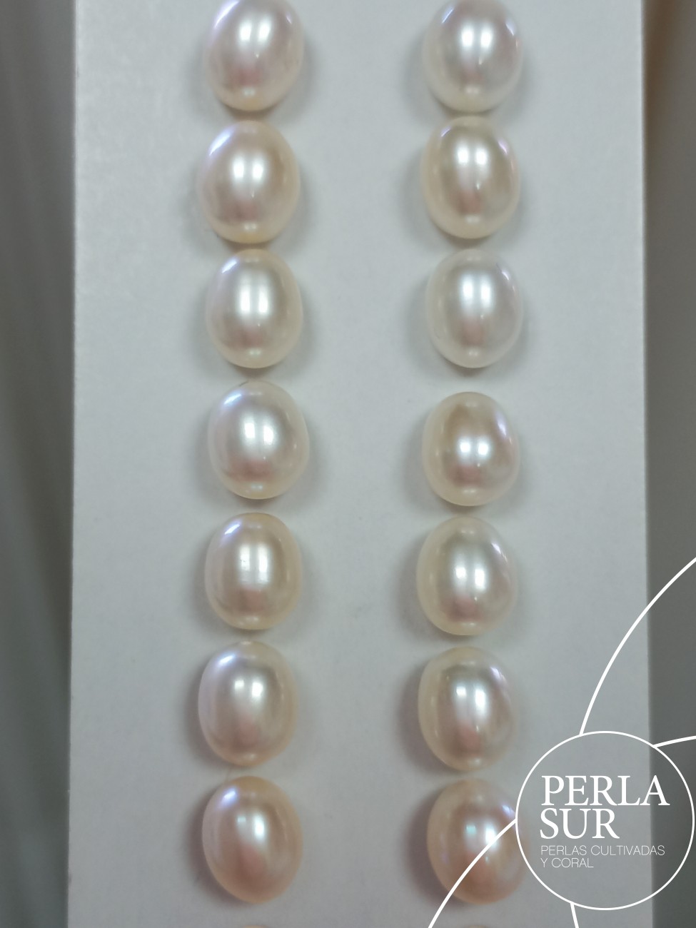 Pareja Perla Oval 7x8'5mm 1/2T. Blanca