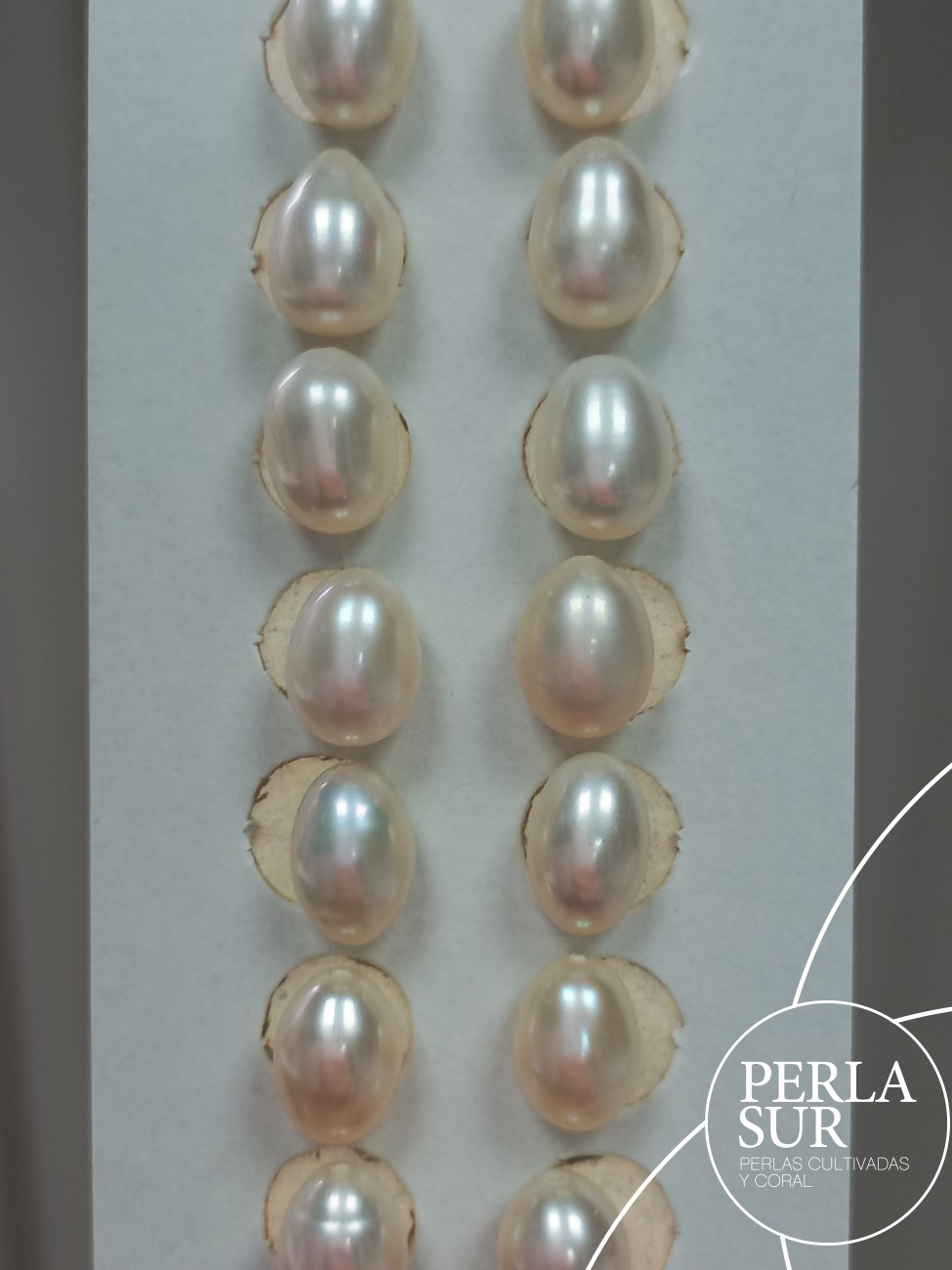 Pareja Perla Oval 7x10mm 1/2T. Blanca