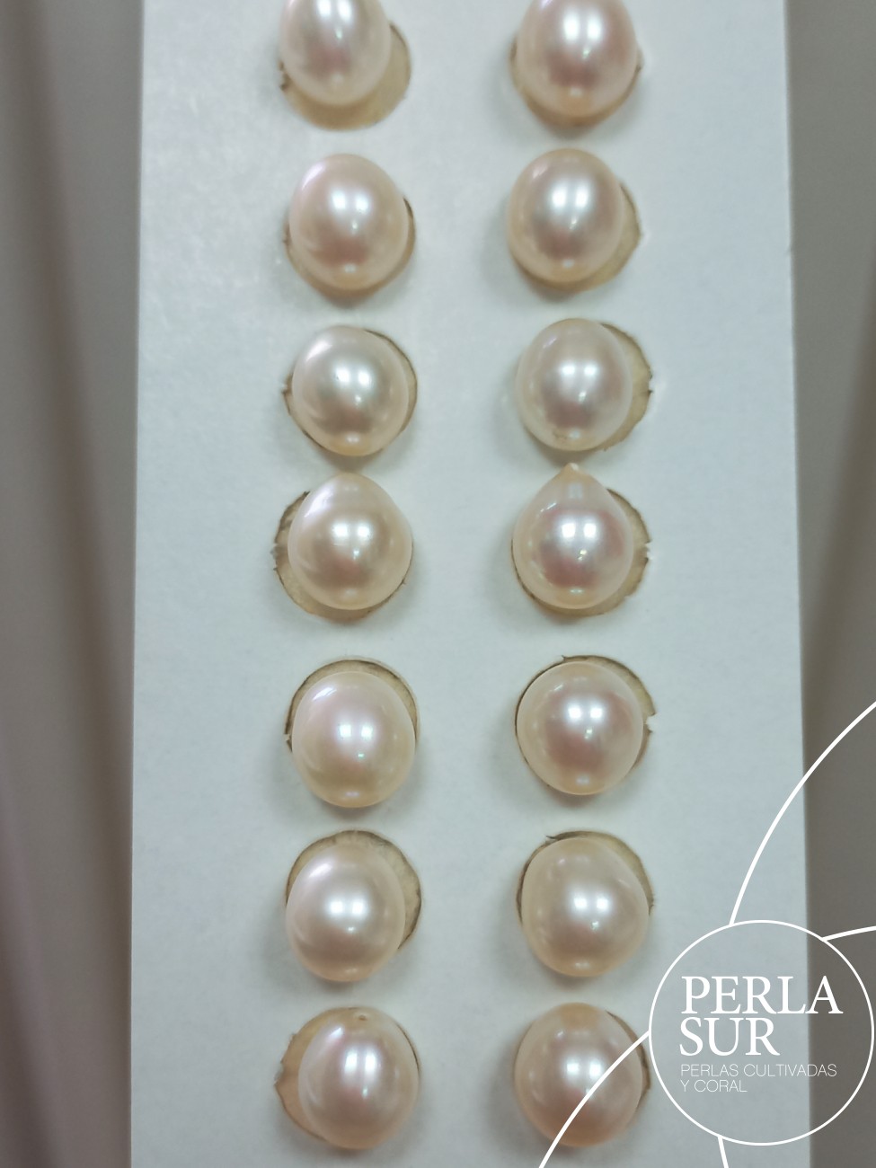 Pareja Perla Oval 7'5/8x8'5mm 1/2T. Blanca