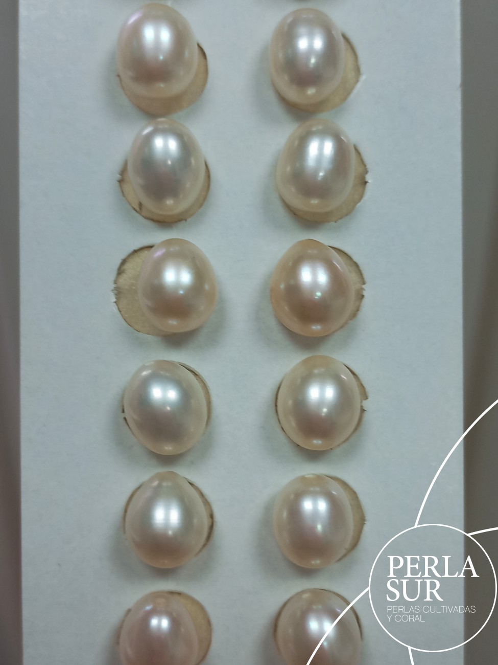 Pareja Perla Oval 7'5/8x9mm 1/2T. Blanca