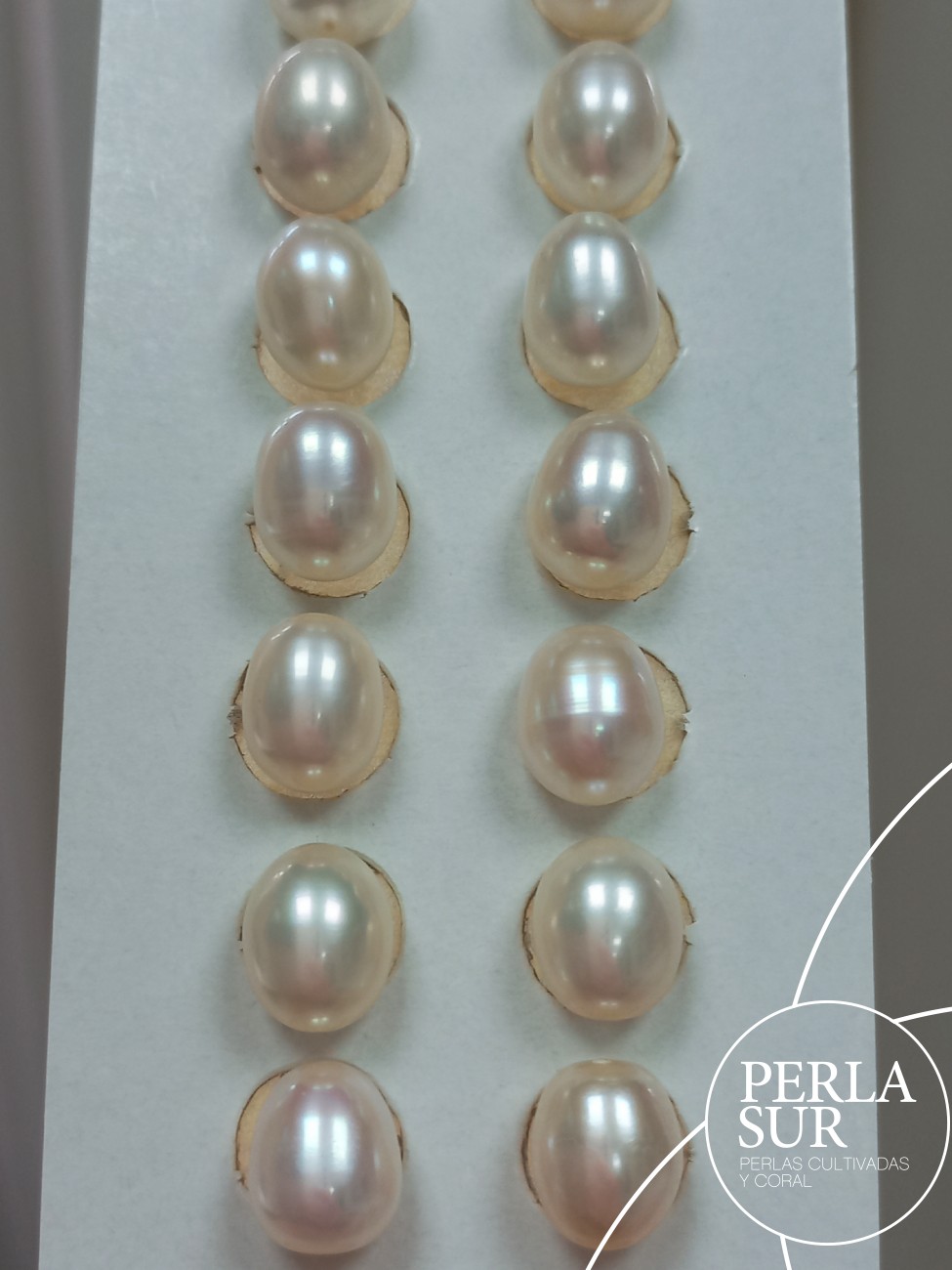 Pareja Perla Oval 7'5/8x9'5mm 1/2T. Blanca