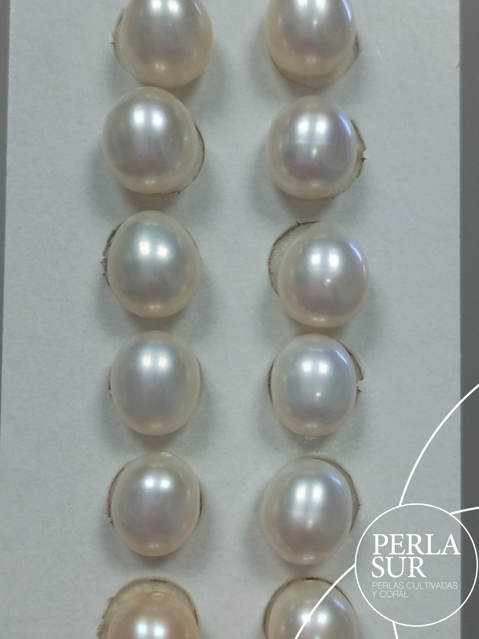 Pareja Perla Oval 8x9'5mm 1/2T. Blanca