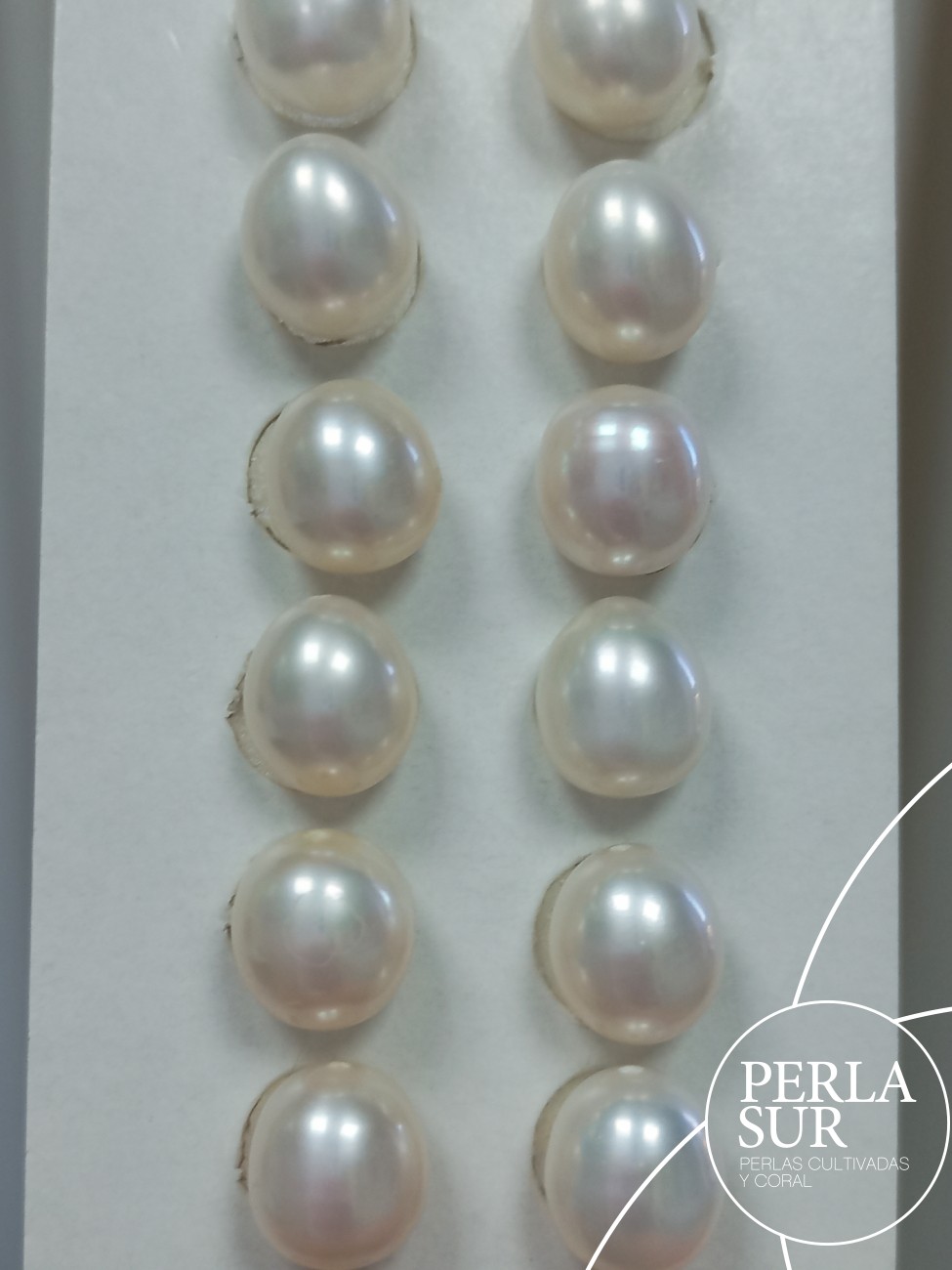 Pareja Perla Oval 8'5x9'5mm 1/2T. Blanca
