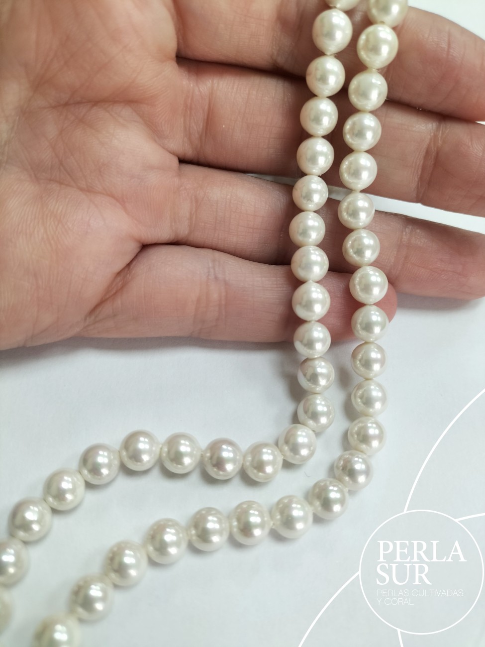 Hilo SHELL esférica 6mm blanca