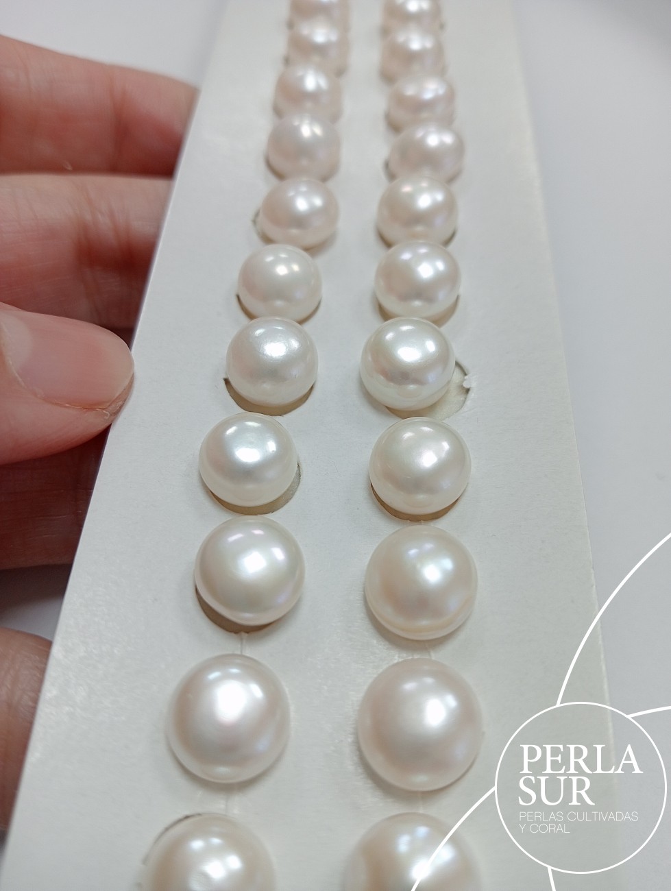 Pareja perla botón 1/2t 9-9'5mm blanca